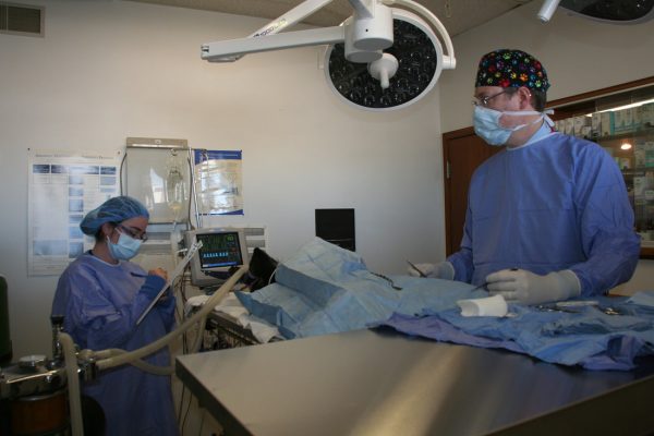Surgery