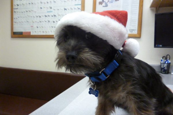 christmas-2_orig