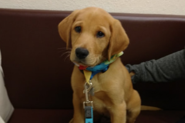 Tucker