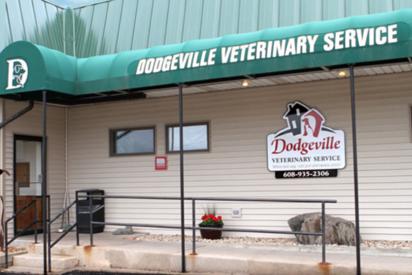 Dodgeville Veterinary Services