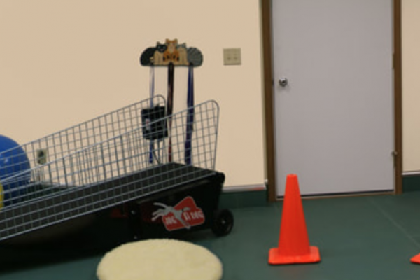 Rehabilitation Room